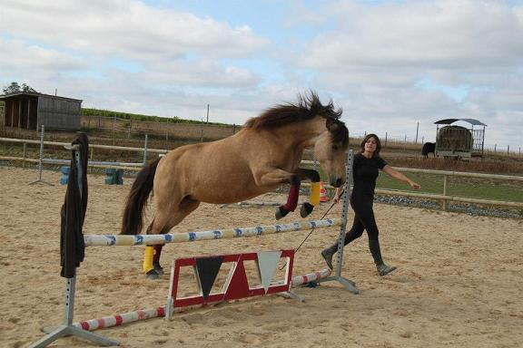 Stage etho Dolly 3 R saut 1 