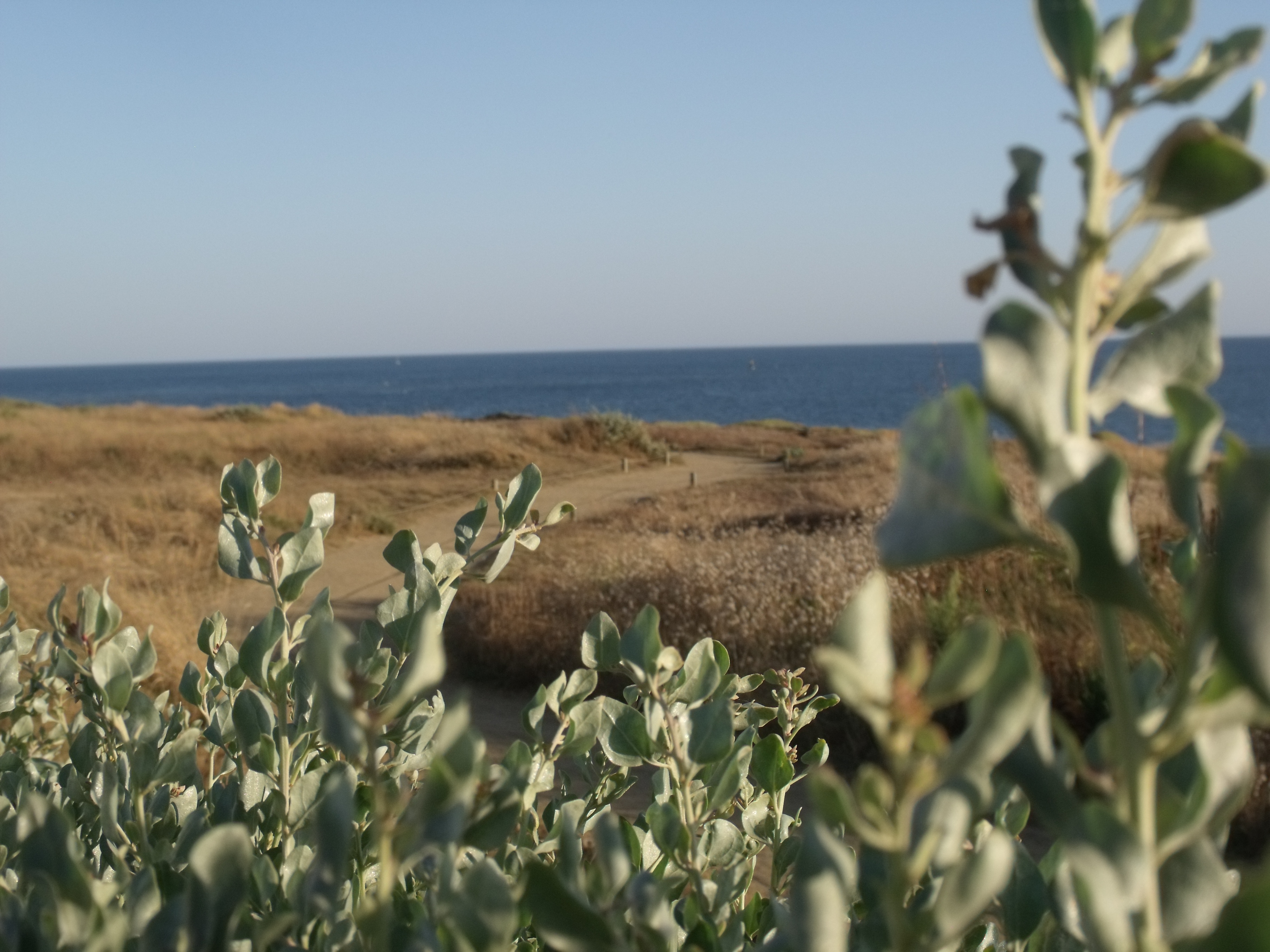 Le sentier sur la corniche 4 