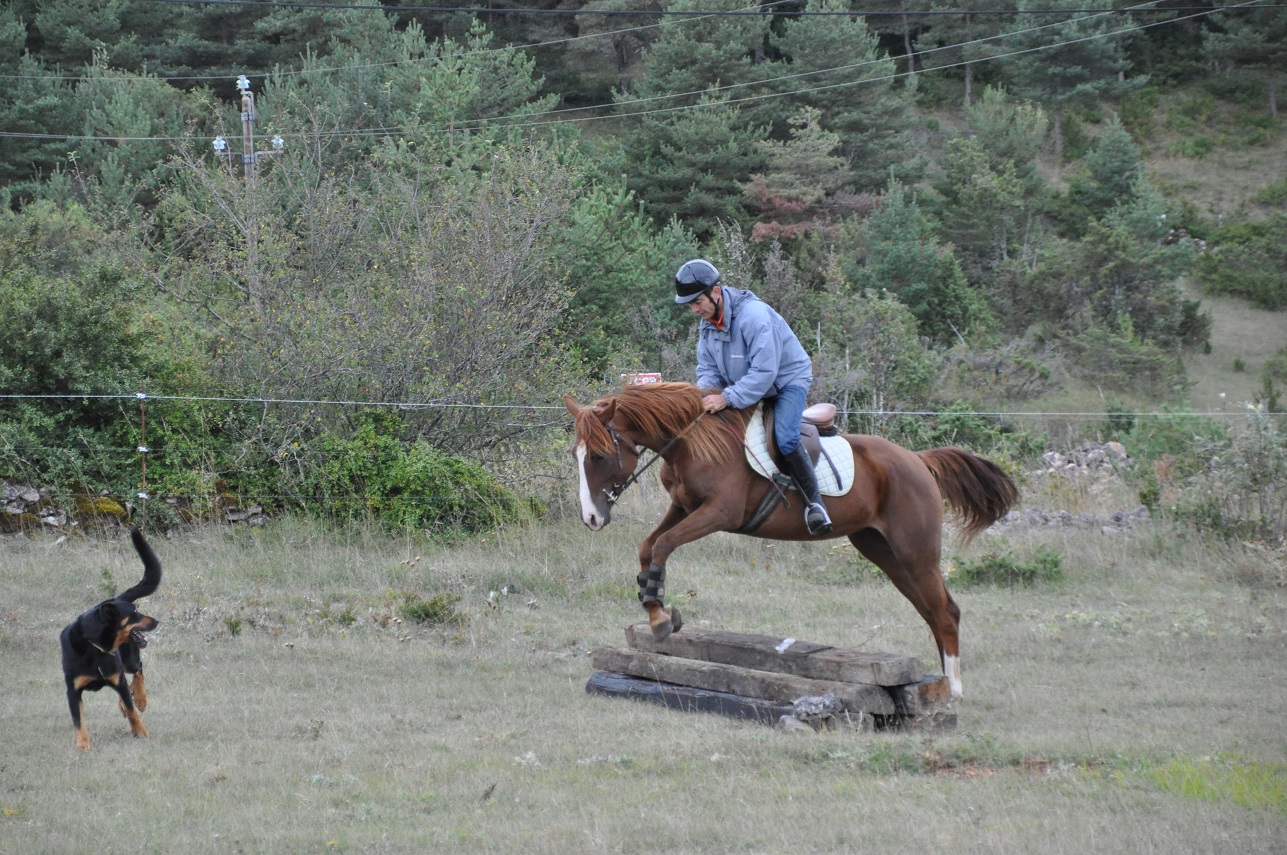 Dsc 5529