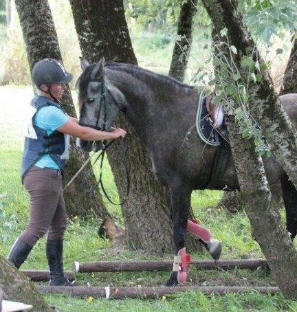 Trec celine reculer 20Seville 1 