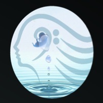 Logo muse droite ovale sur fond noir copie