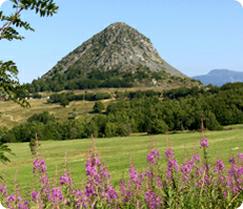 243 210 10 Territoire 20des 20paysages Gerbier de jonc 202