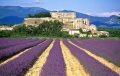 Thumb chateaux drome1