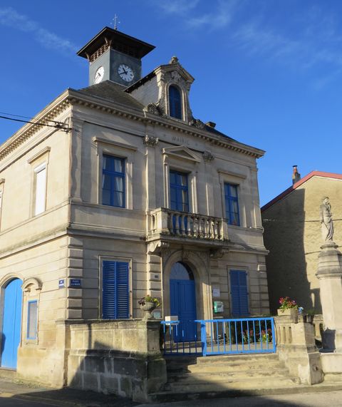 55neuvi 3 