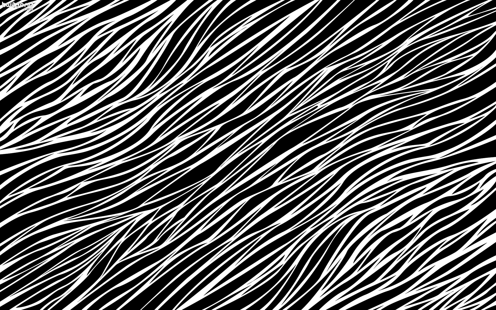 Motif zebre