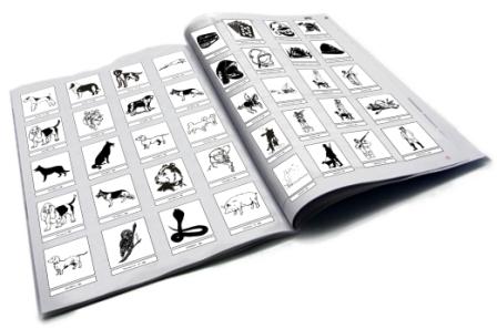 Copie de catalogue sport 2011 pdf