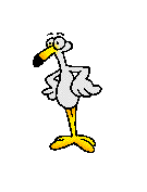 Animaux oiseaux 00016