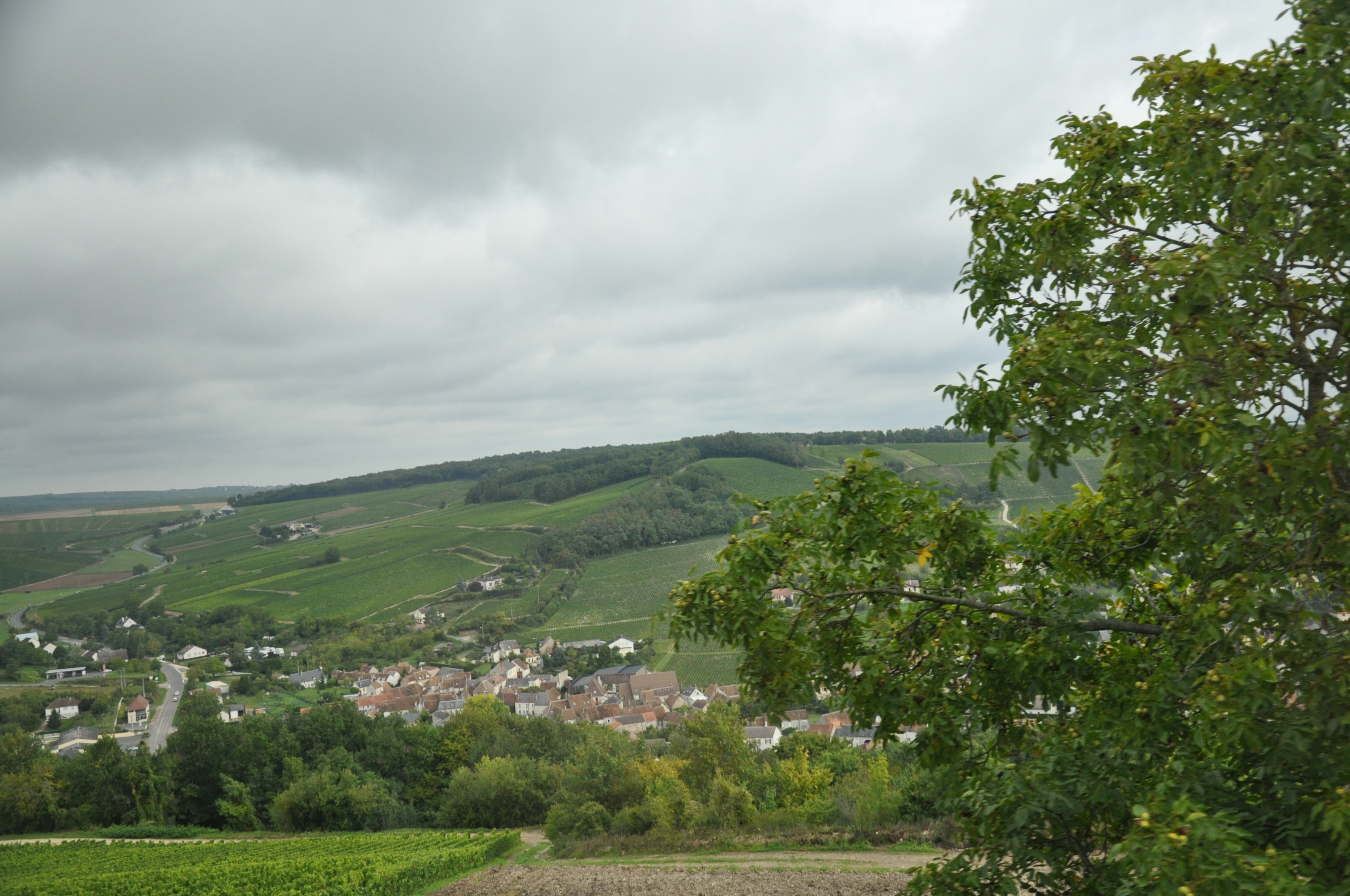 Sancerre micheline 006