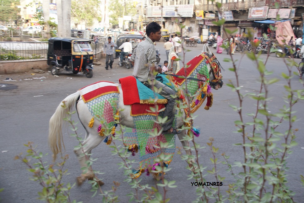 Udaipur copie