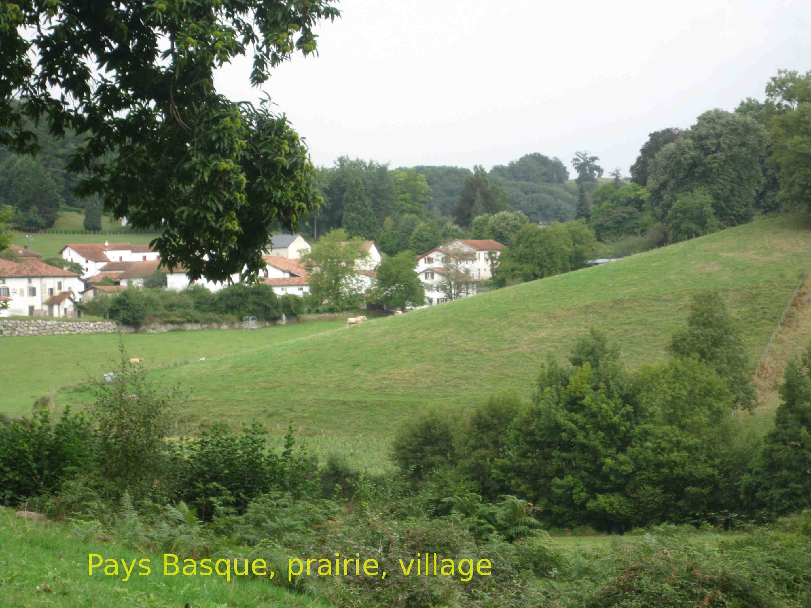 Img 0428
