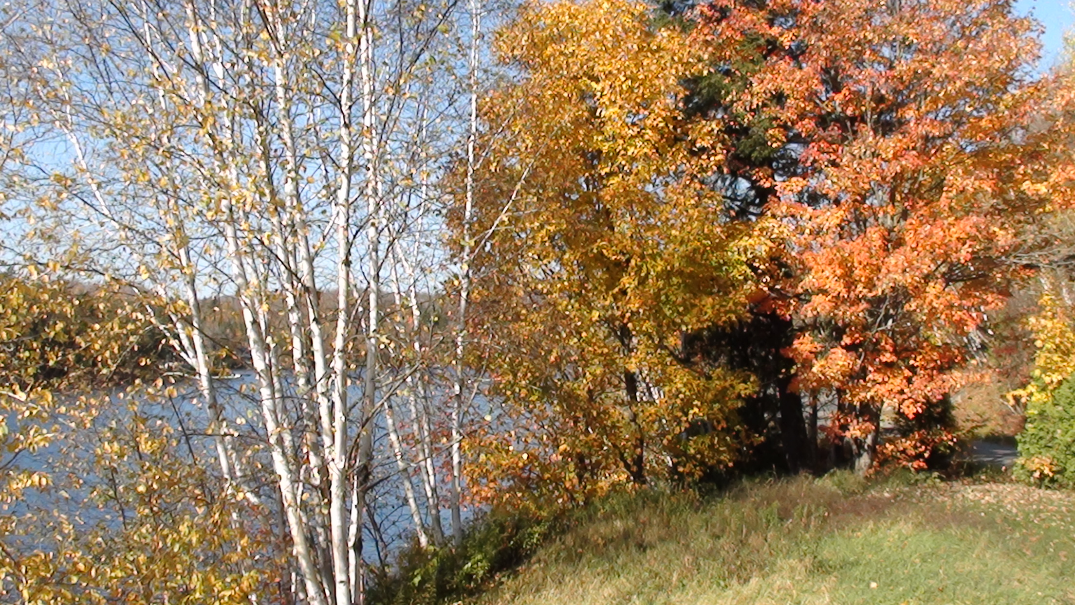 DSC03439