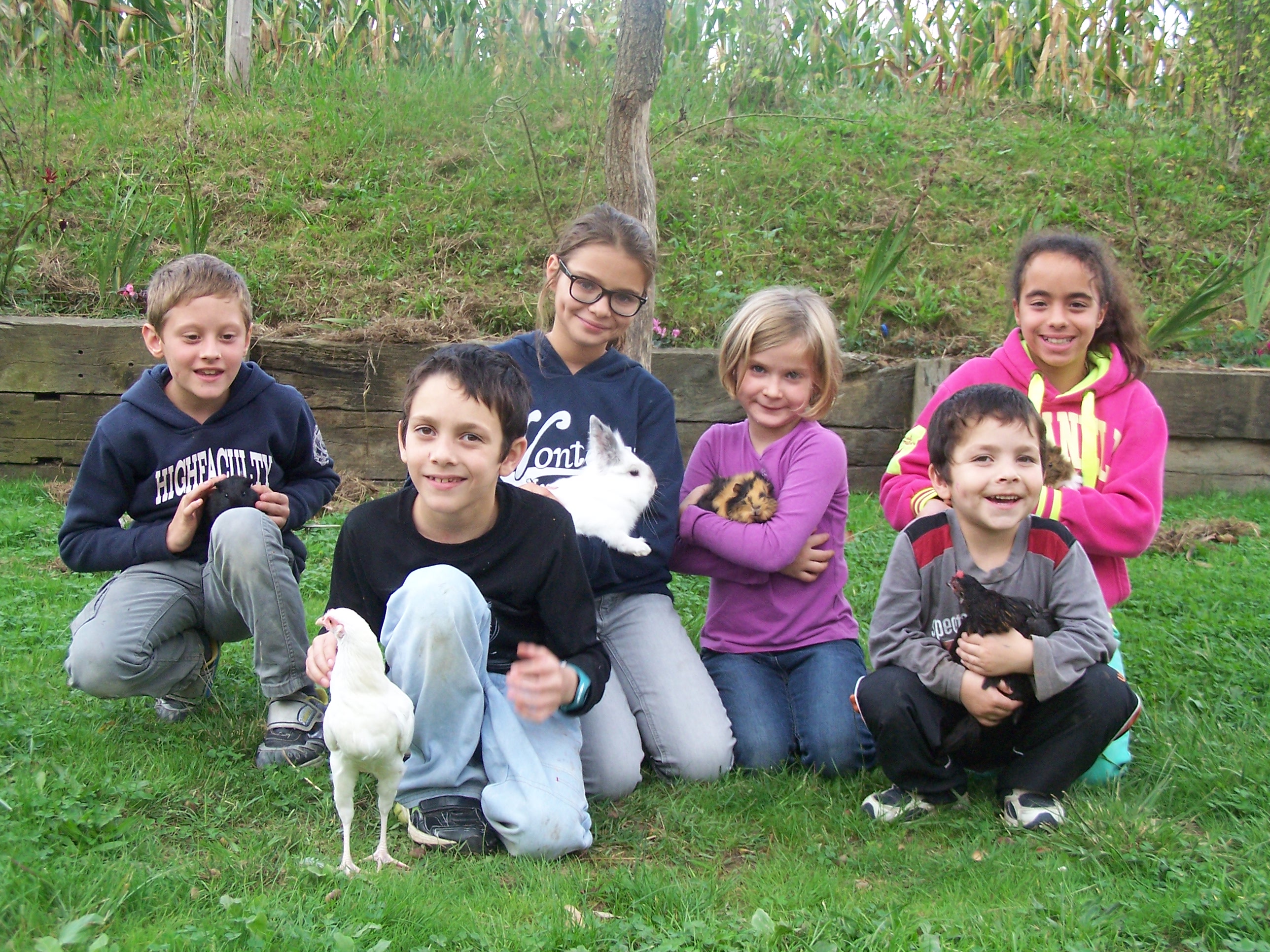 Approche des animaux, chacun le sien