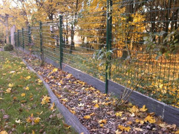 960072 10202697470581707 1251043317 n