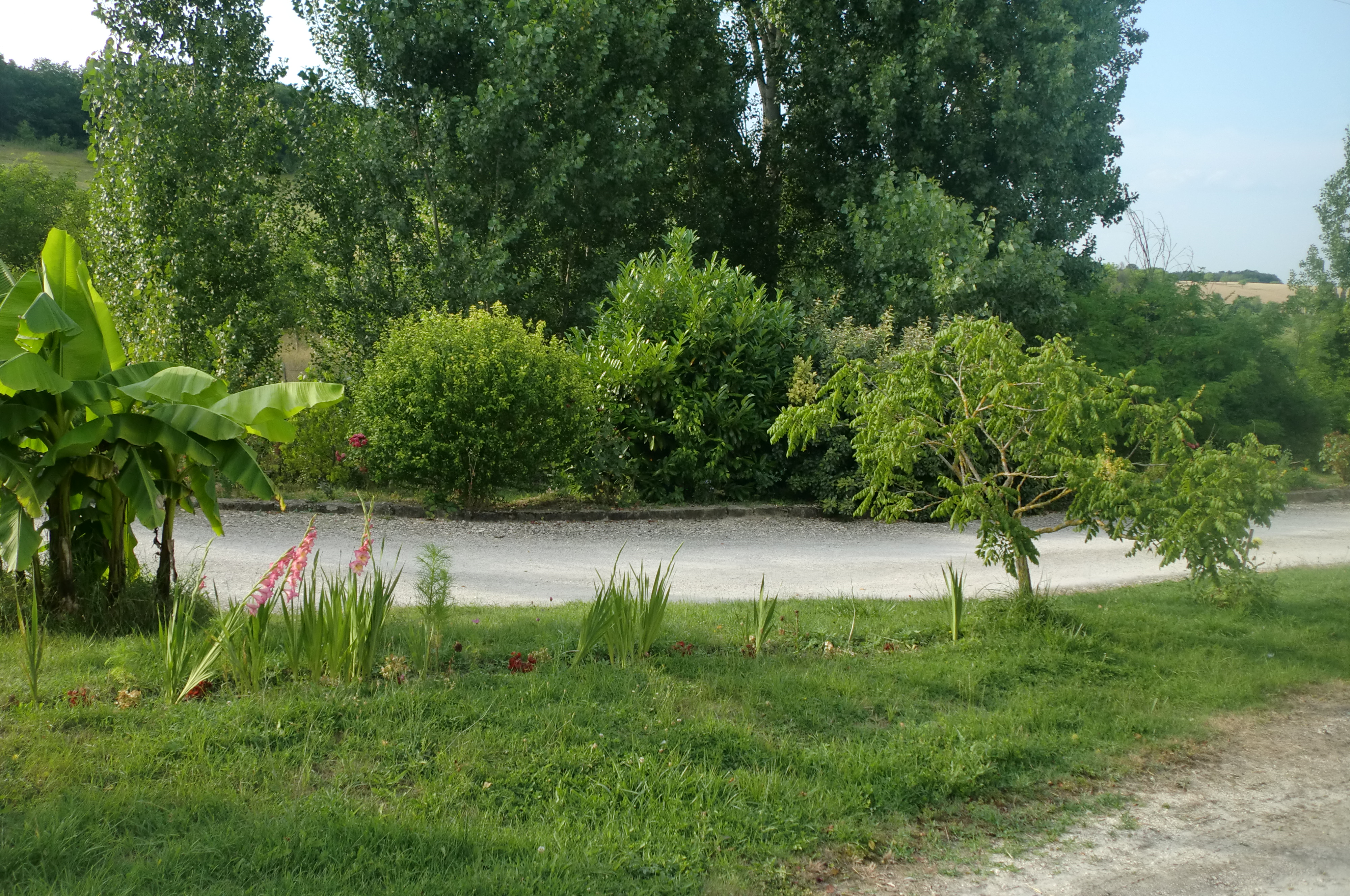 Cimg1418