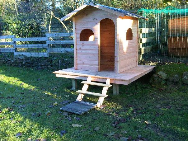 1474513 10202773850331153 1000256778 n