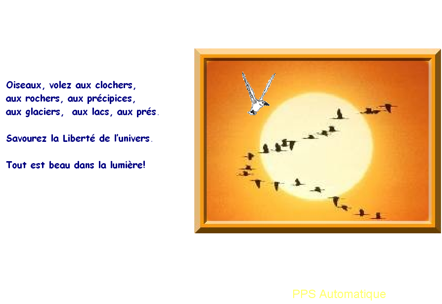 Oiseaux 21