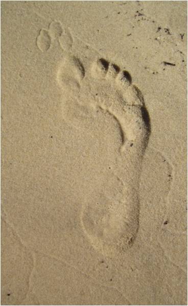 Image2