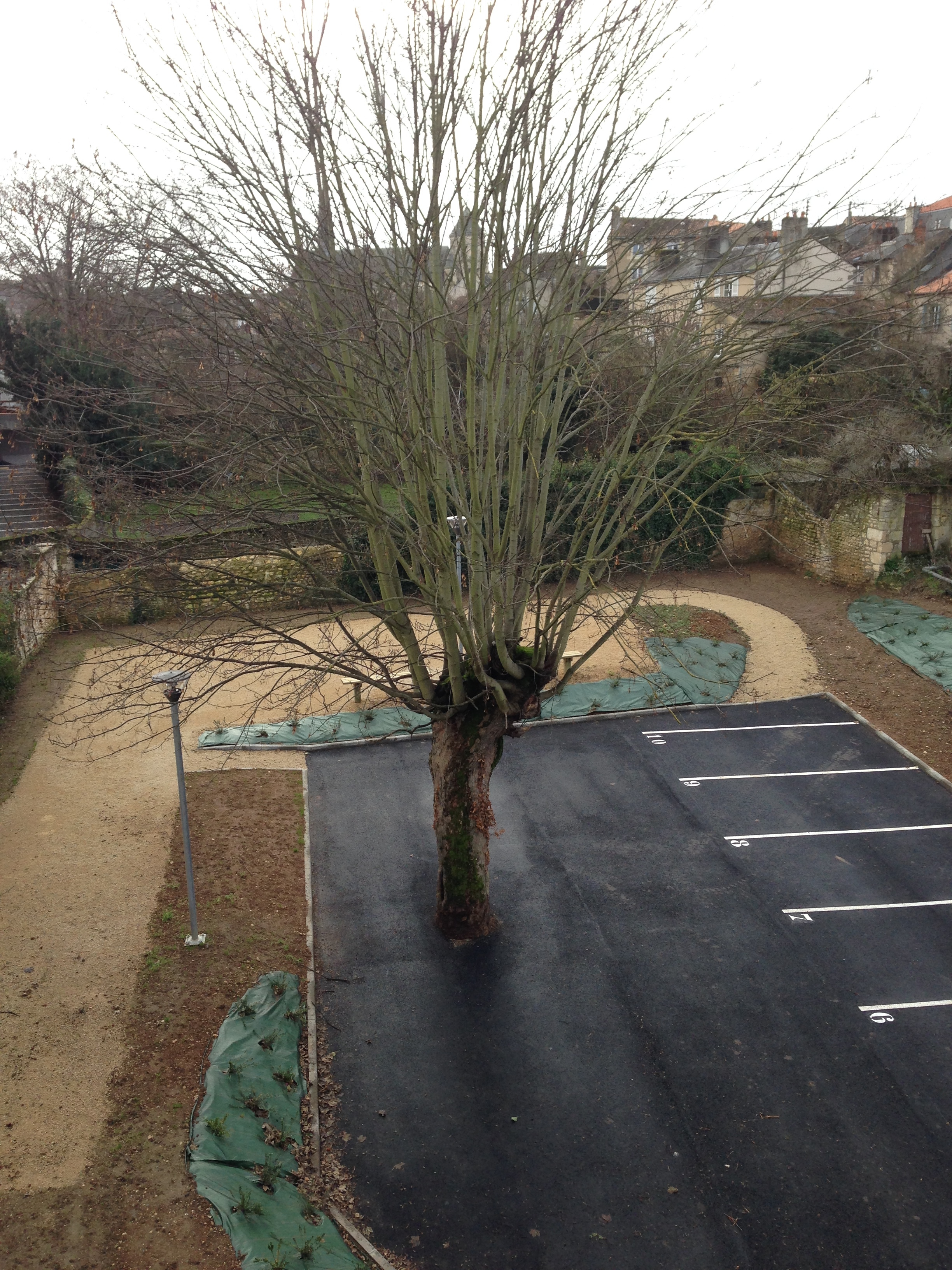 Jardin