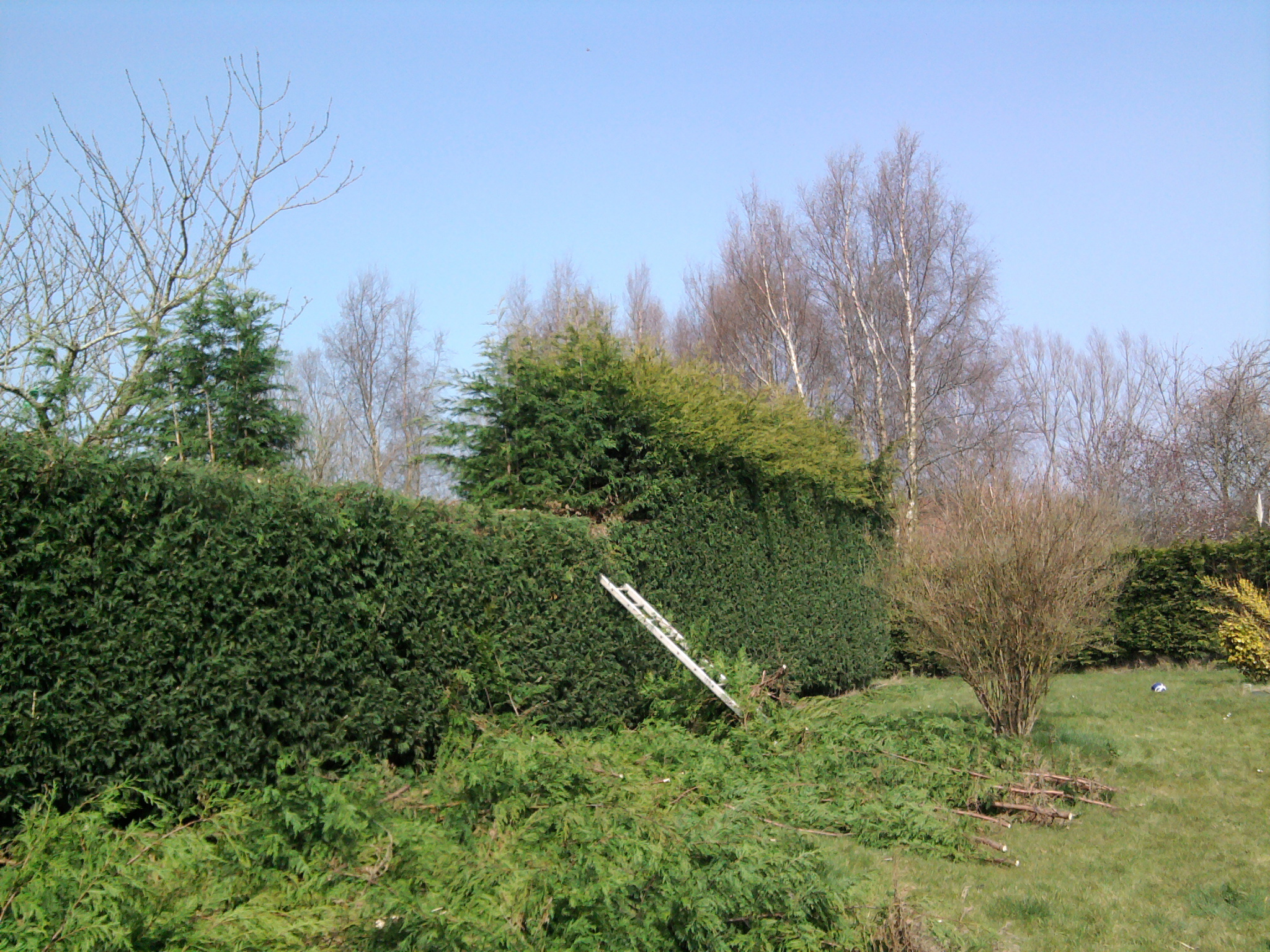 Photo0124