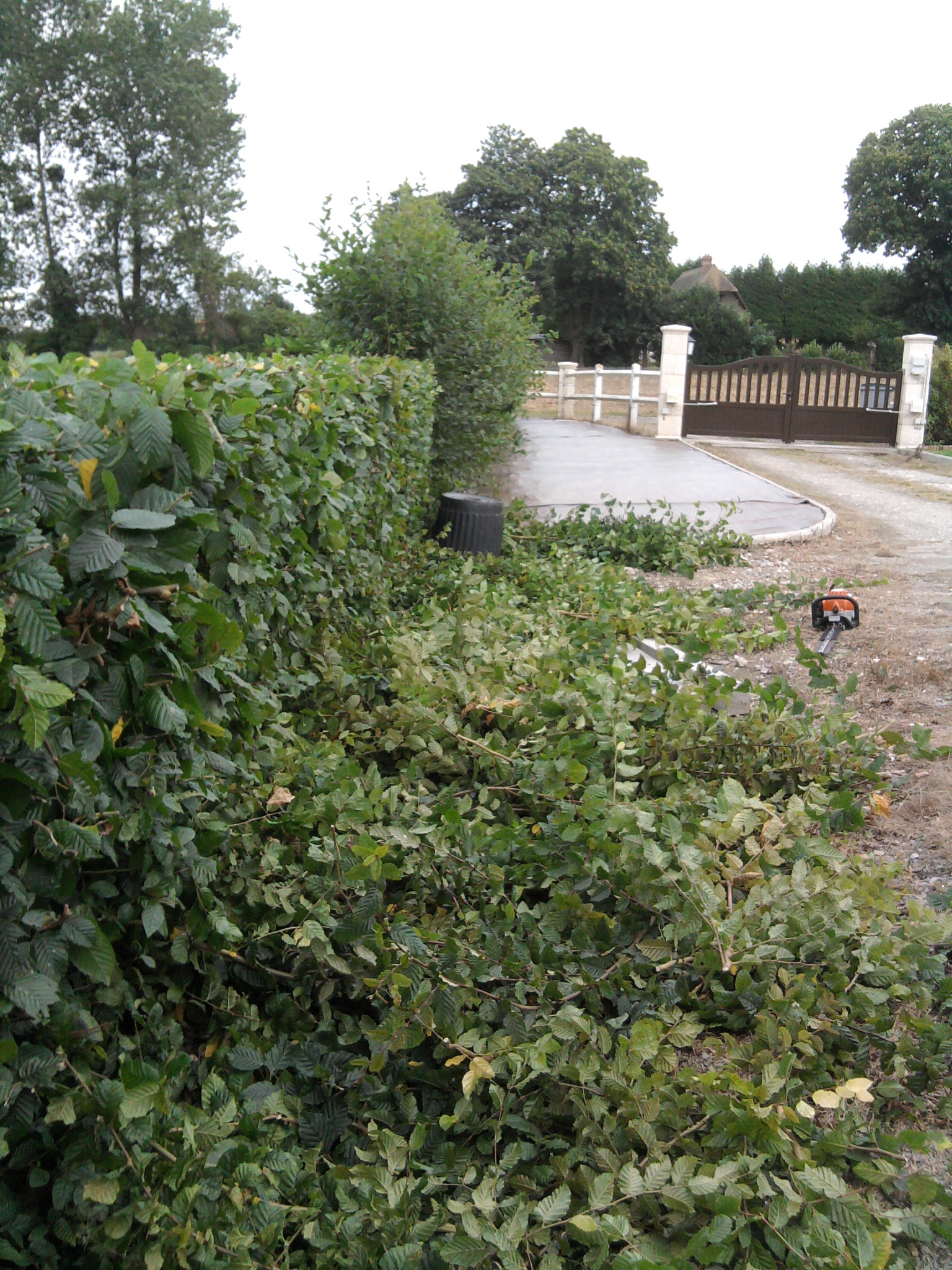 Photo0148
