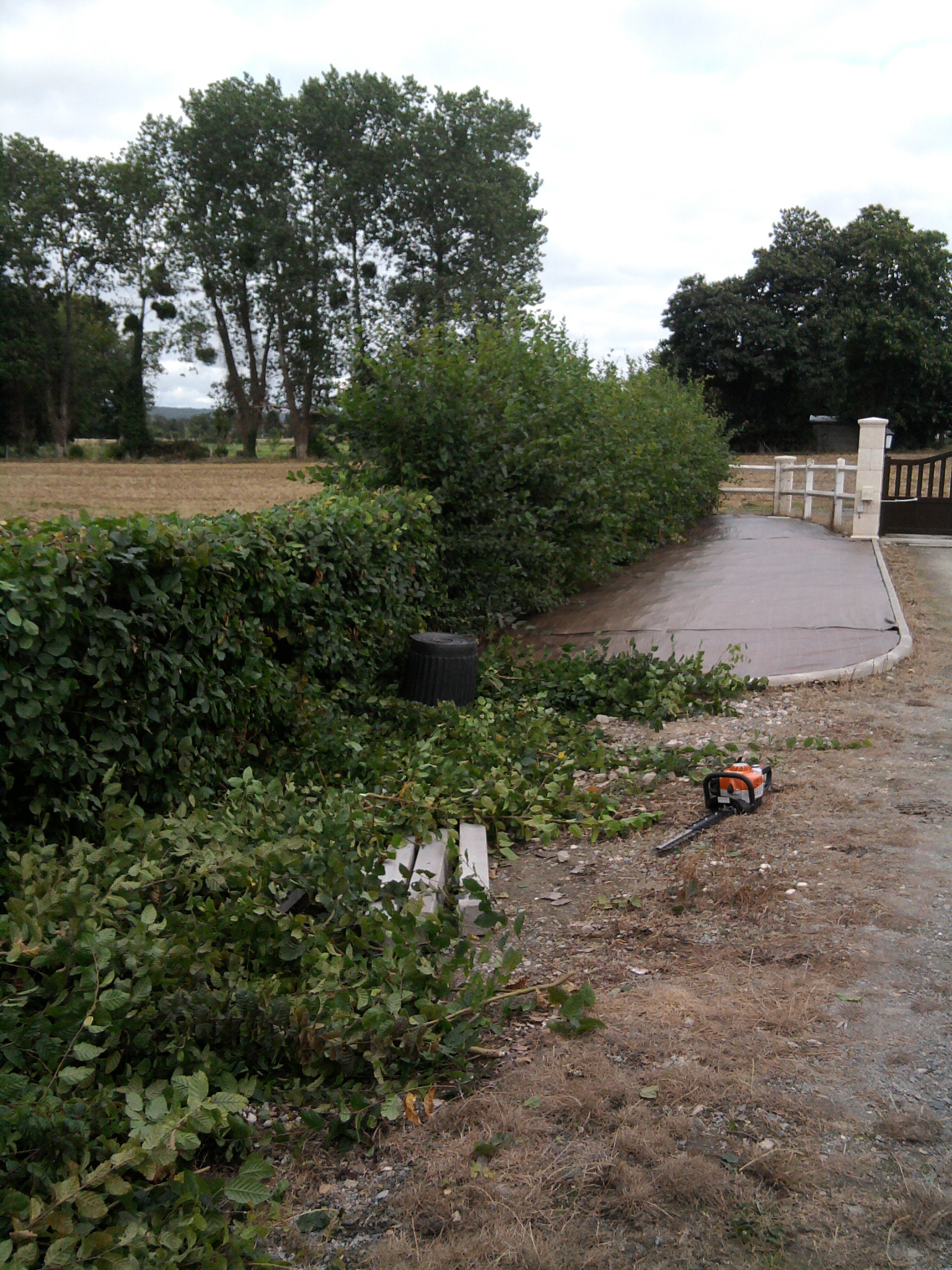 Photo0149