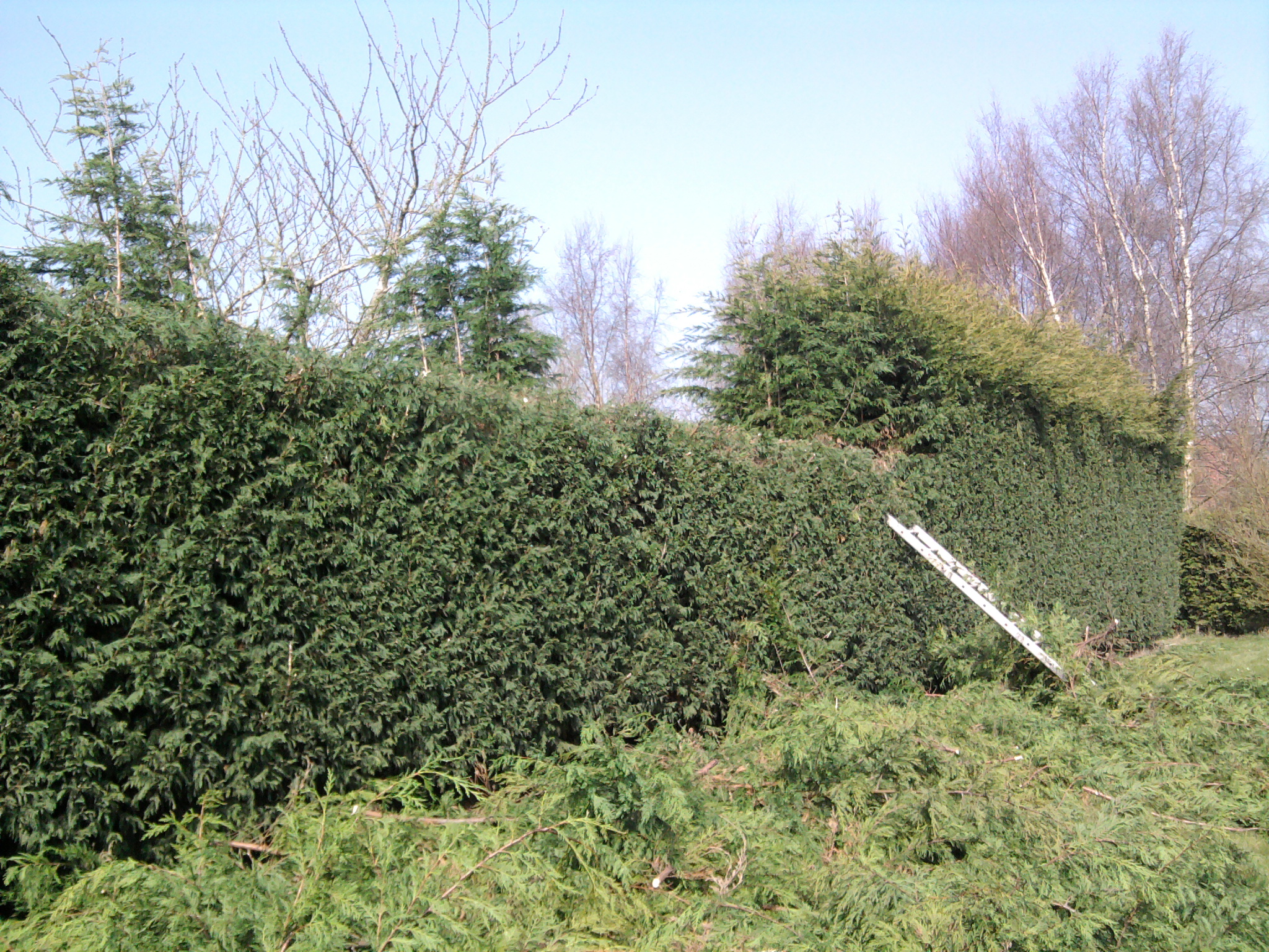Photo0122