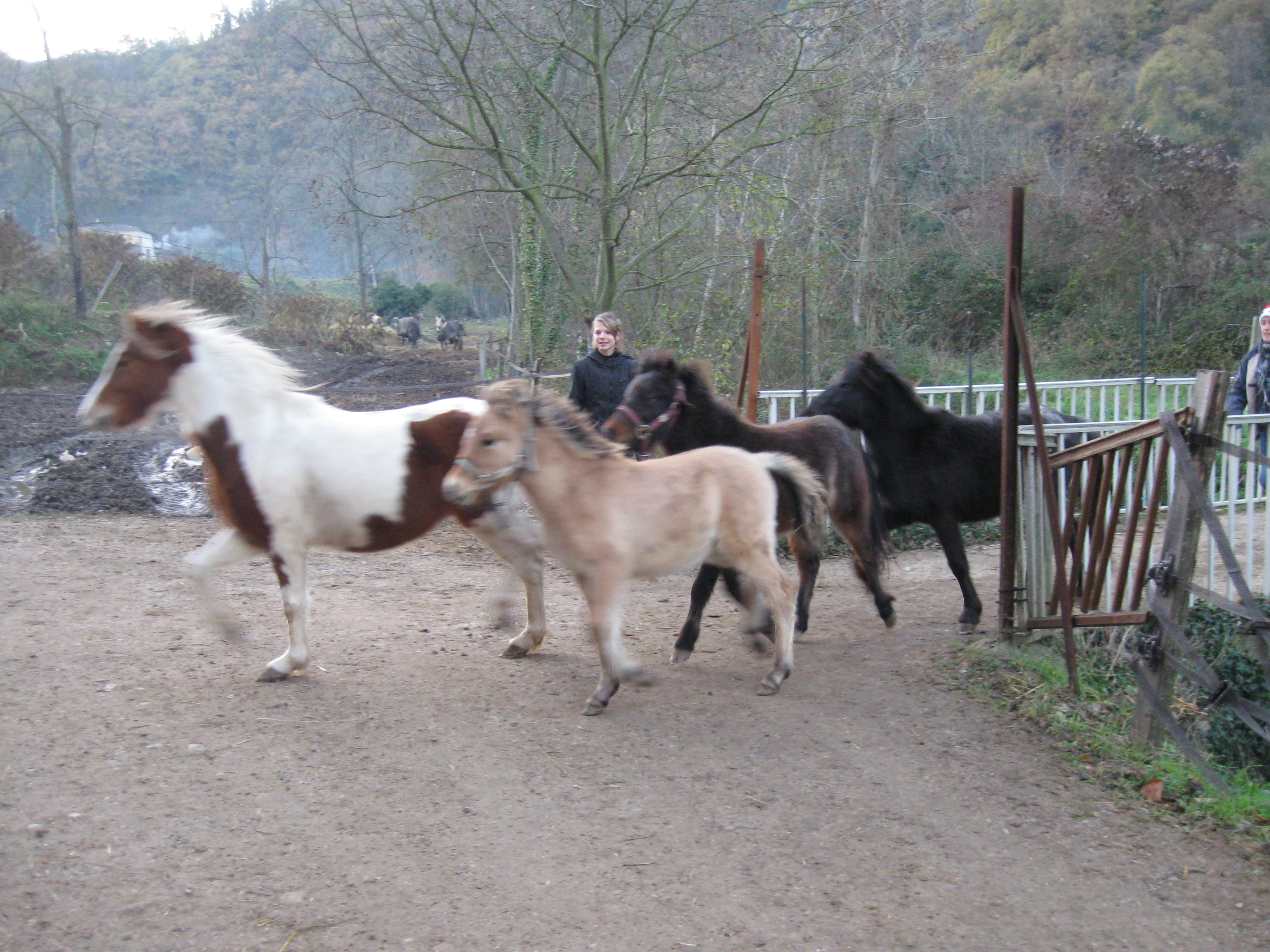 Noel 2013 679