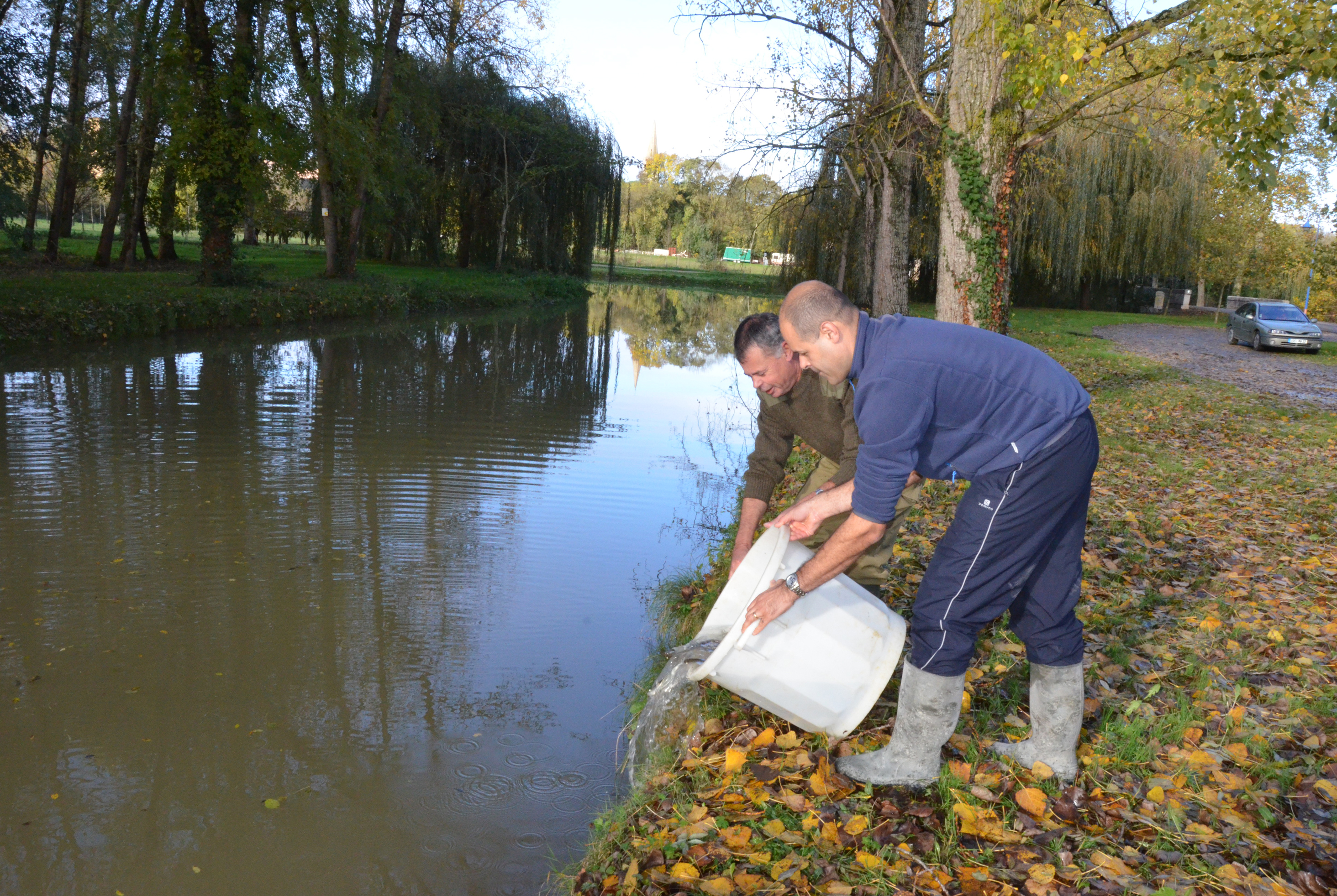 Peche d 3554