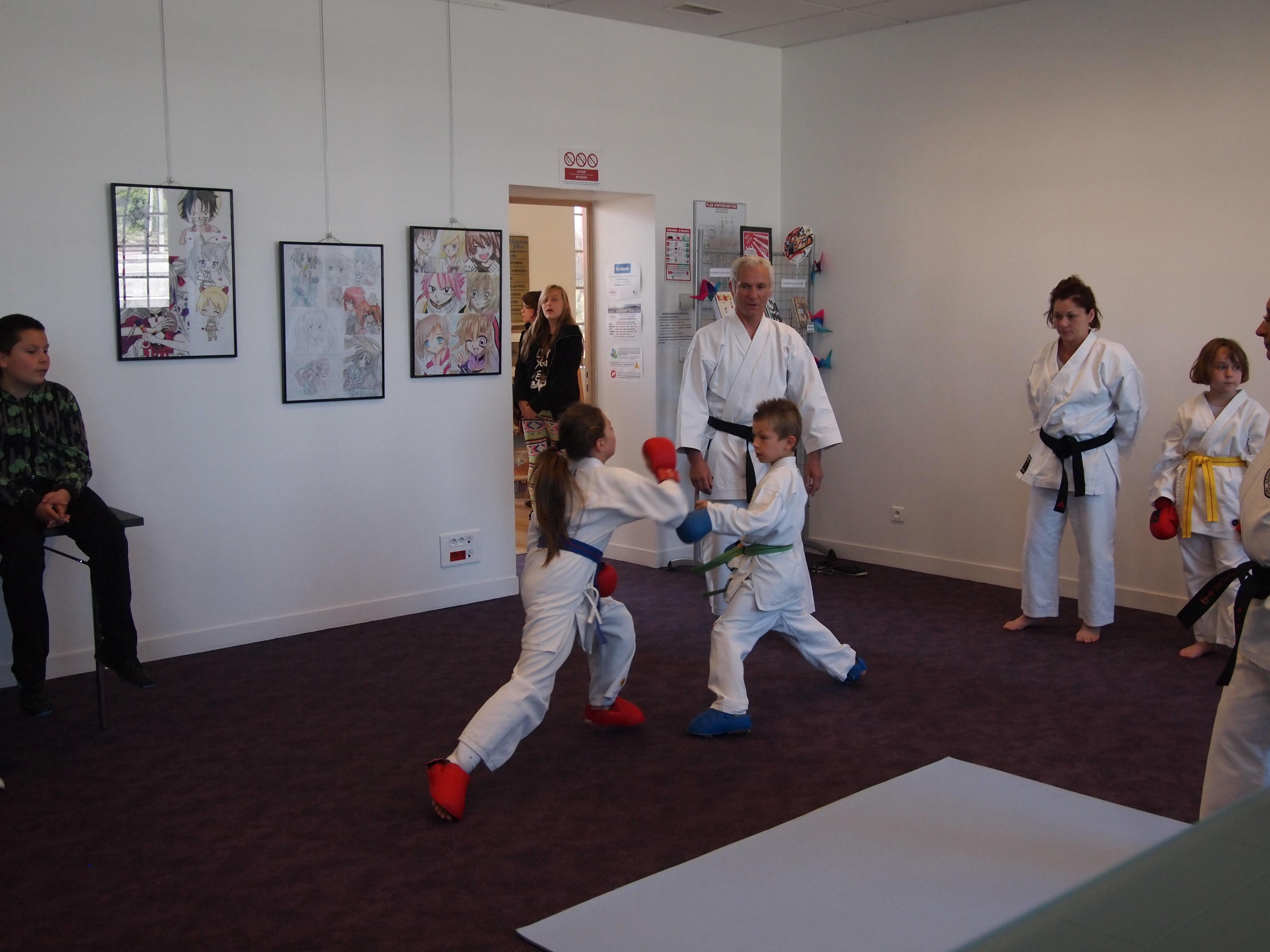 13 Karate demonstration 4 