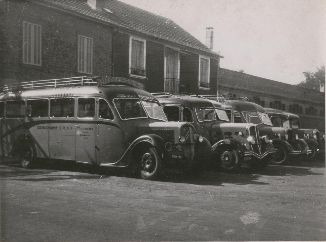 Fougere au marche feurs