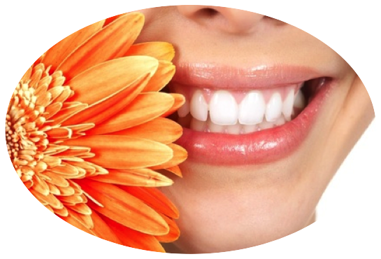Sourire fleur