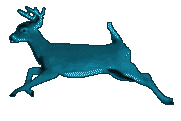 Deeru