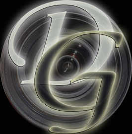 Logo Davidfoto