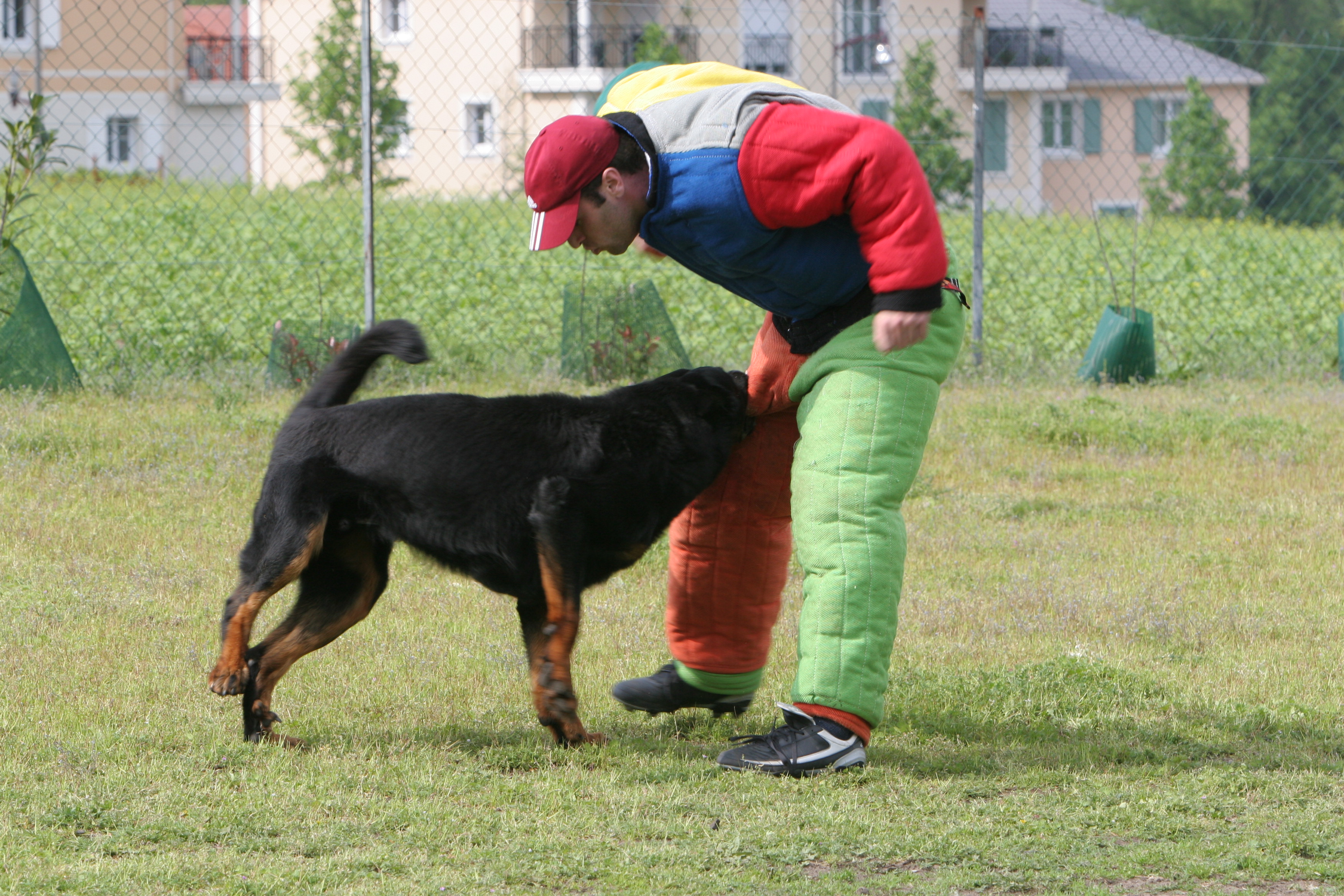 Img 1324