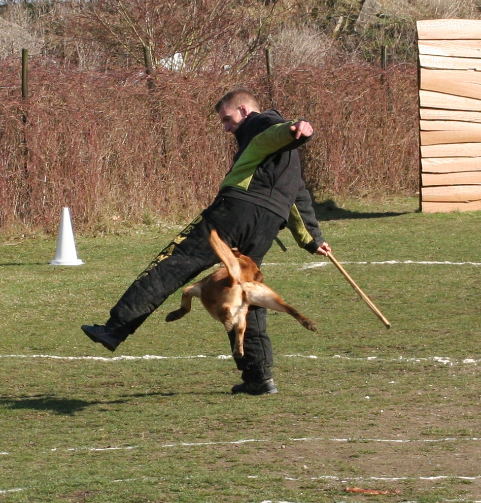Img 3527