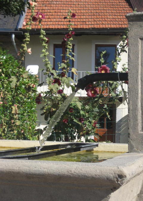 Bassin