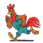 Poules 27