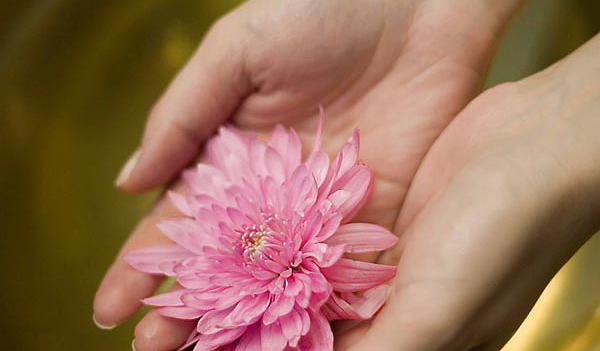 4170499e20438adadc32d33fd5d5669b wix mp srz 600 351 75 22 0 50 1 20 0