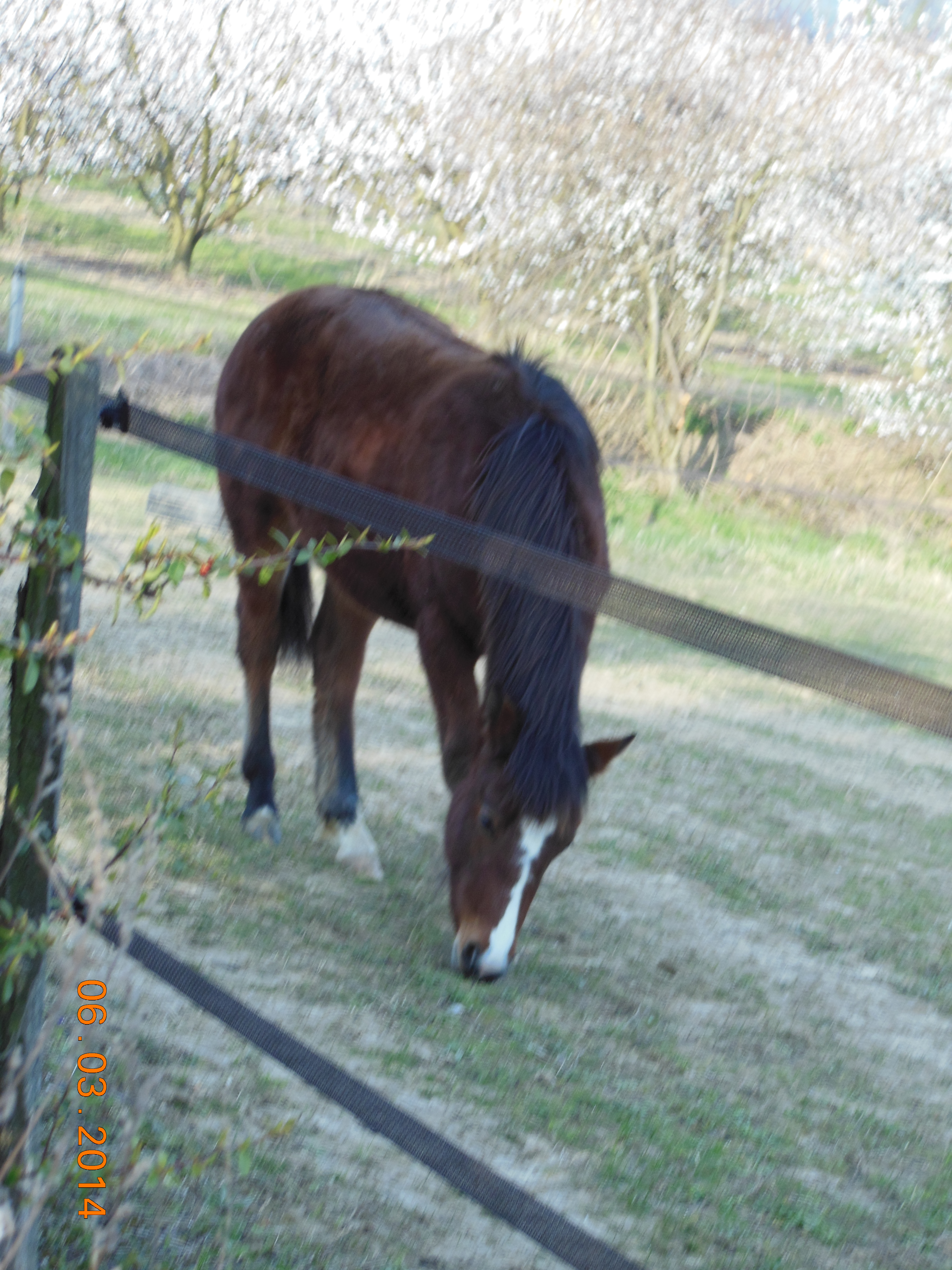 Mars 2014 009