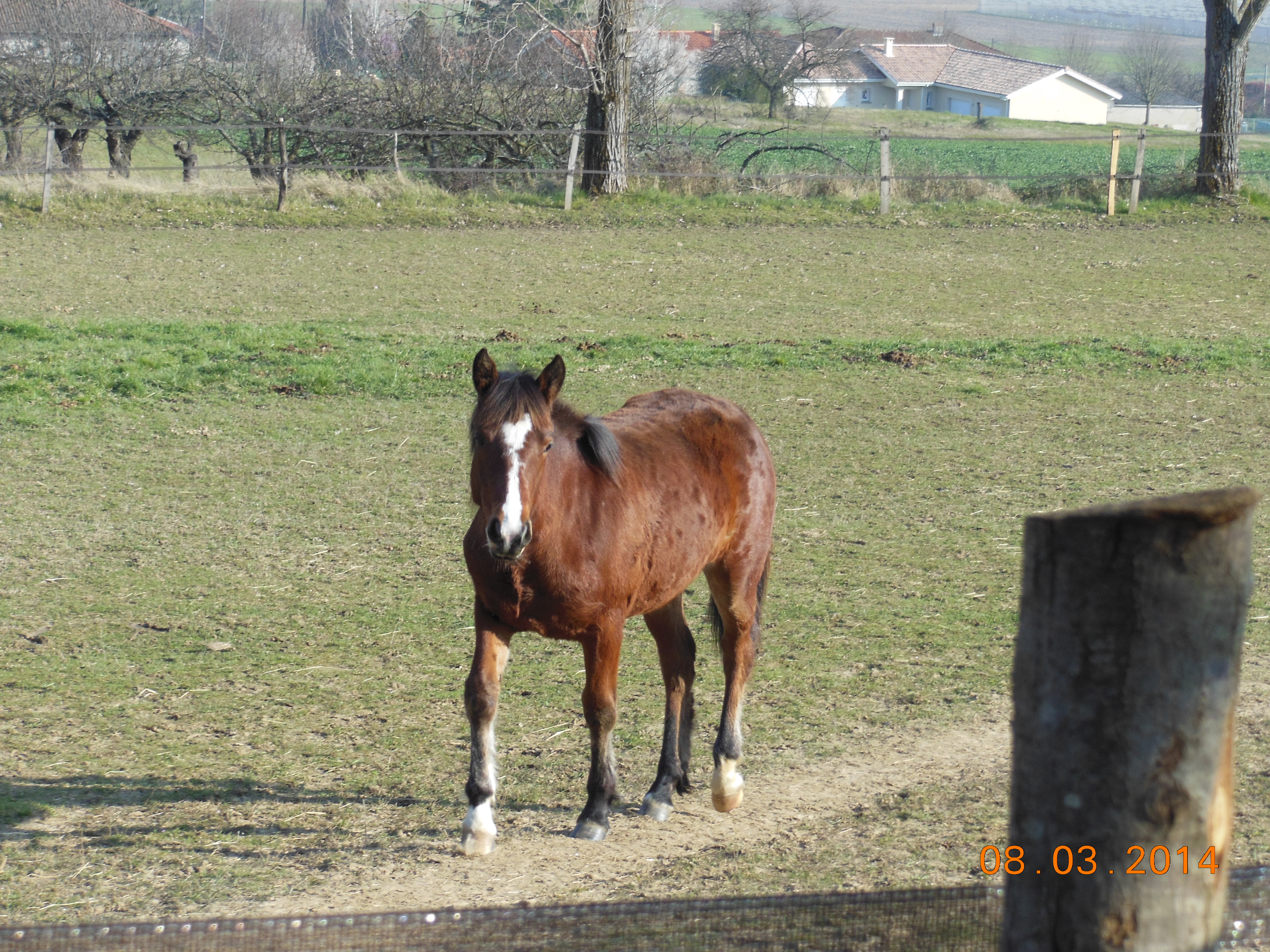 Mars 2014 016