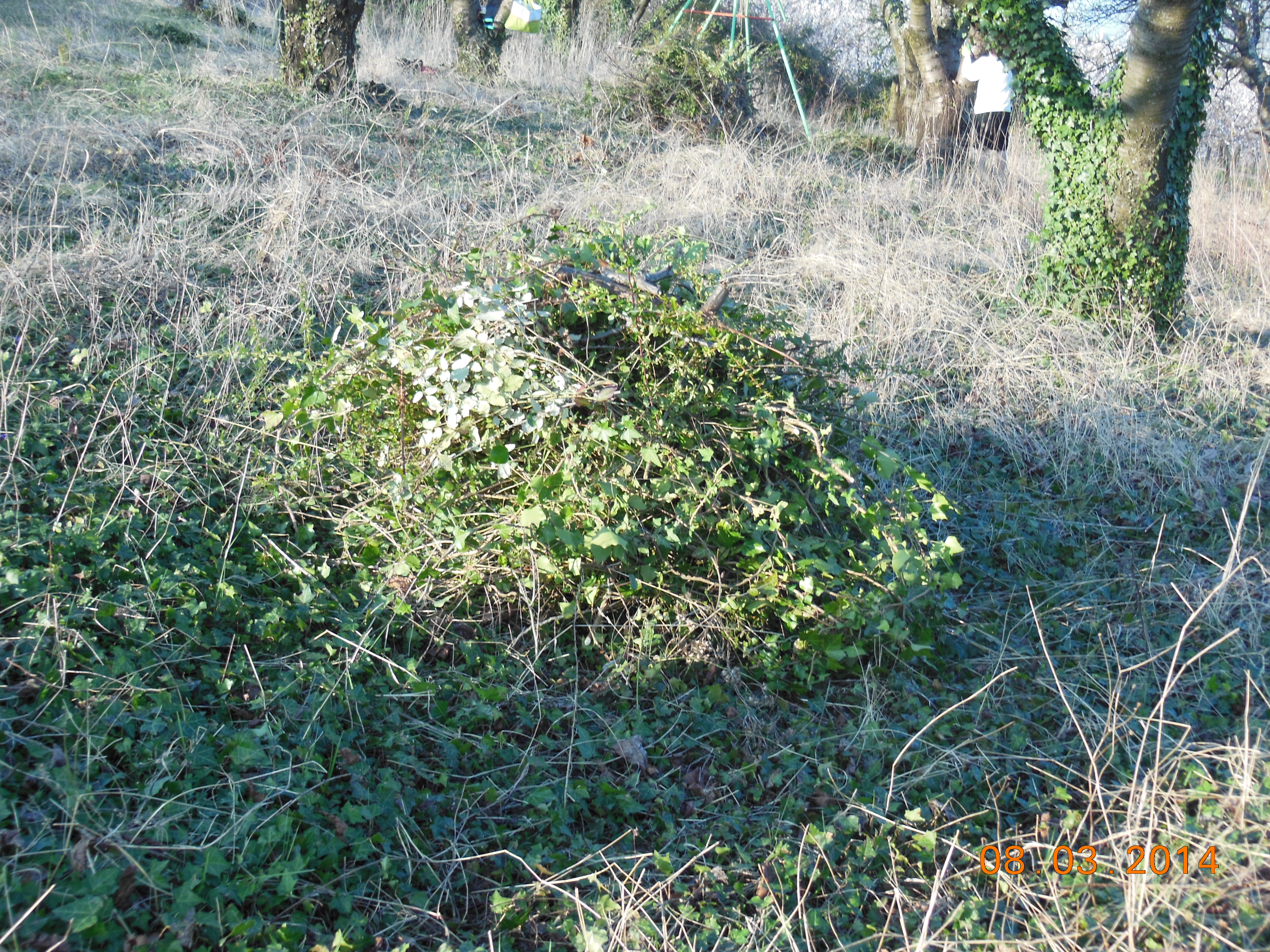 Mars 2014 024