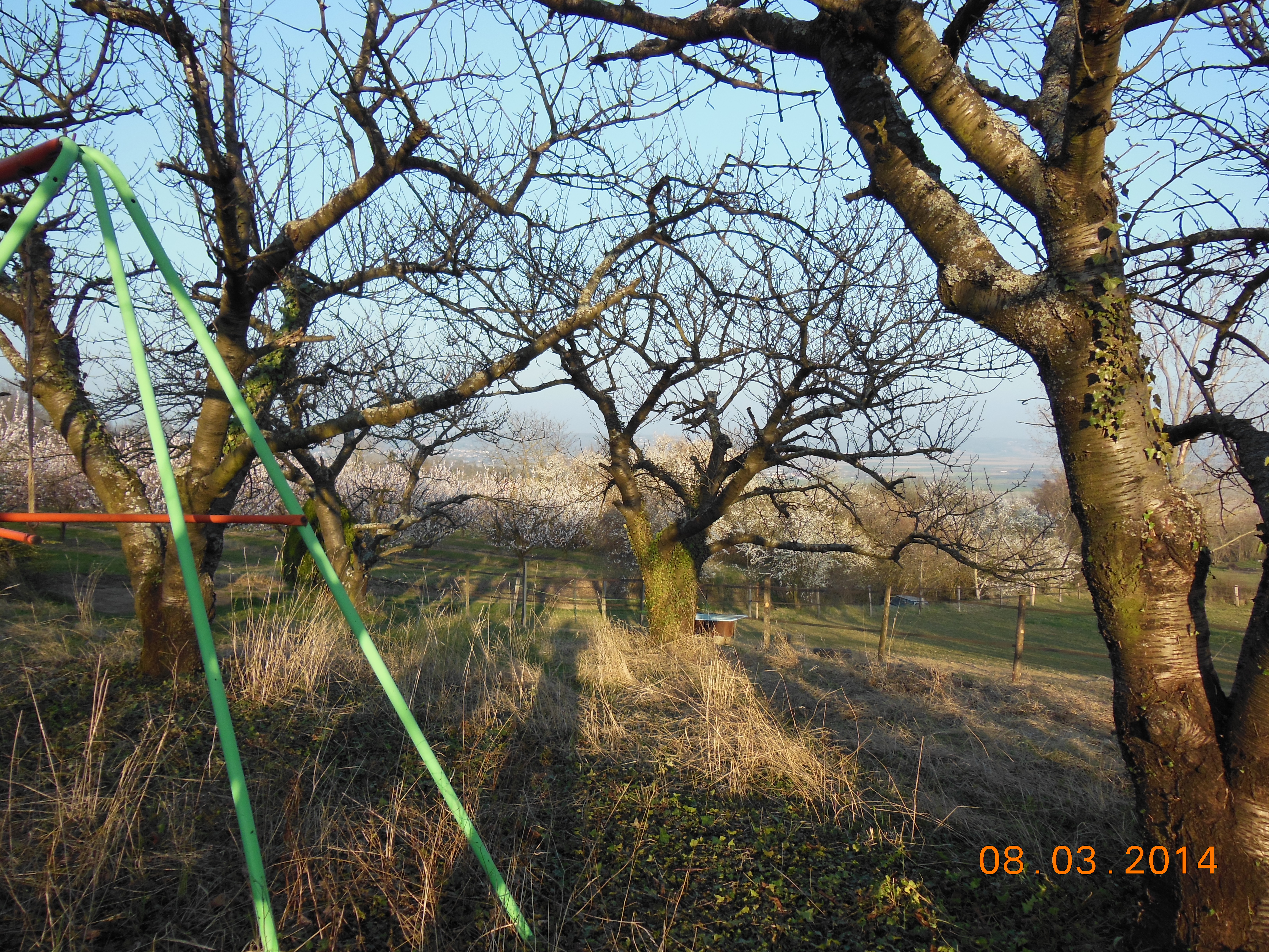 Mars 2014 031
