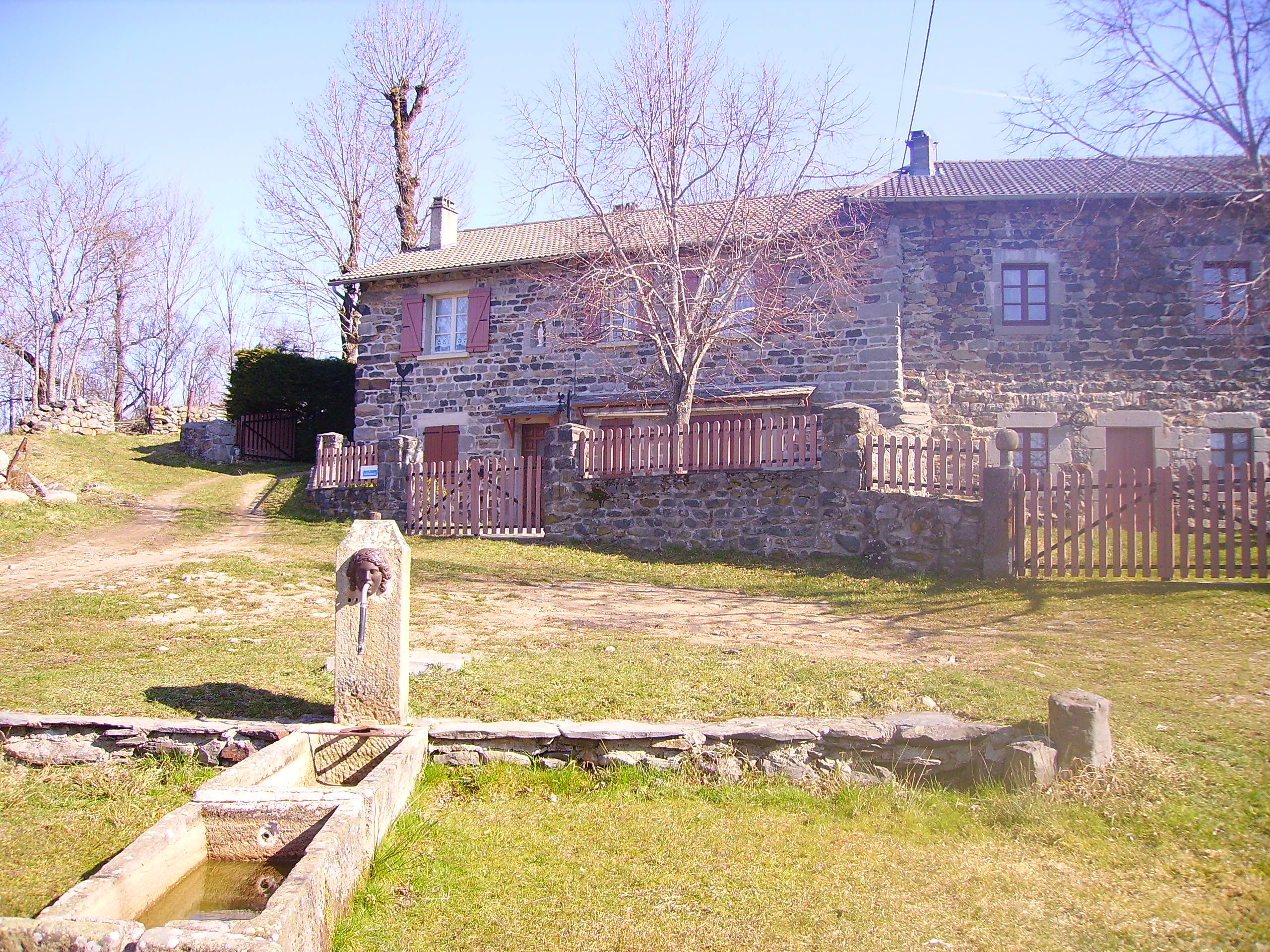 IMGP0980