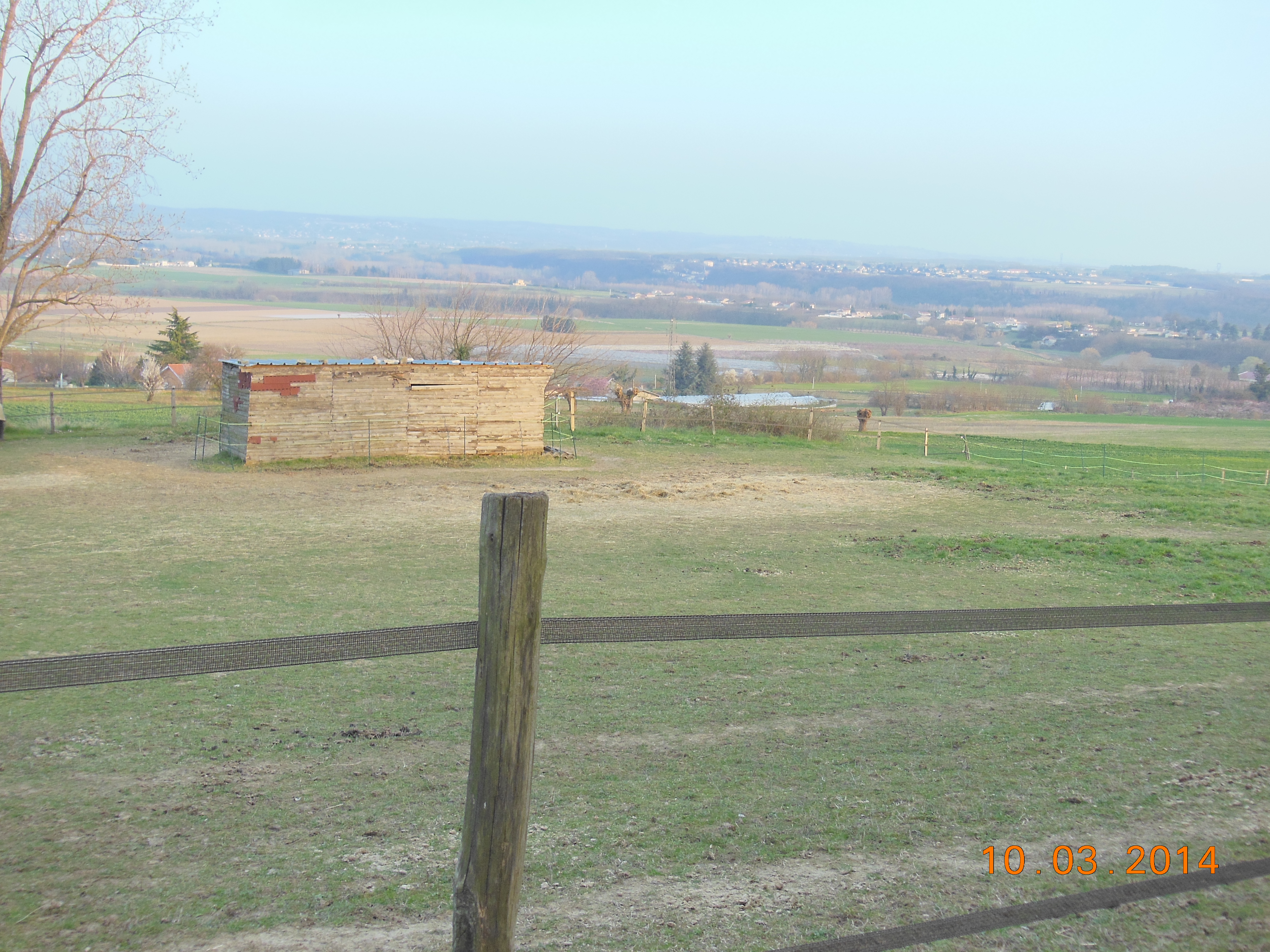 Mars 2014 005