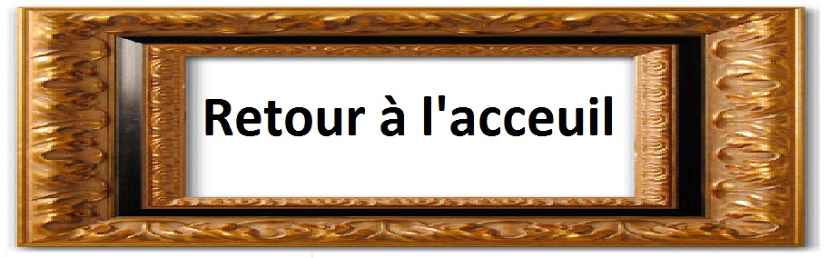 Retour a l acceuil