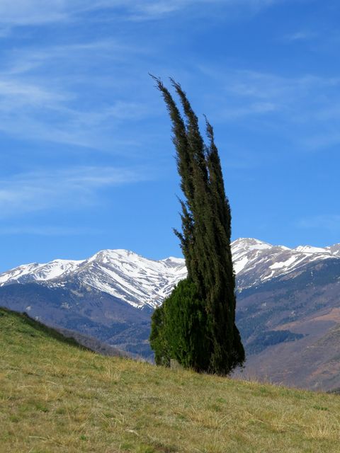 Pyrenn 1 
