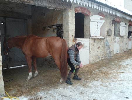Flexionboulet