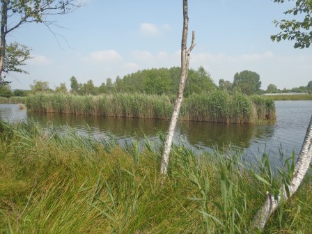 P7120001