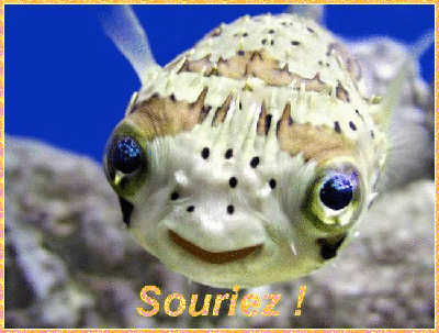Sourire 11