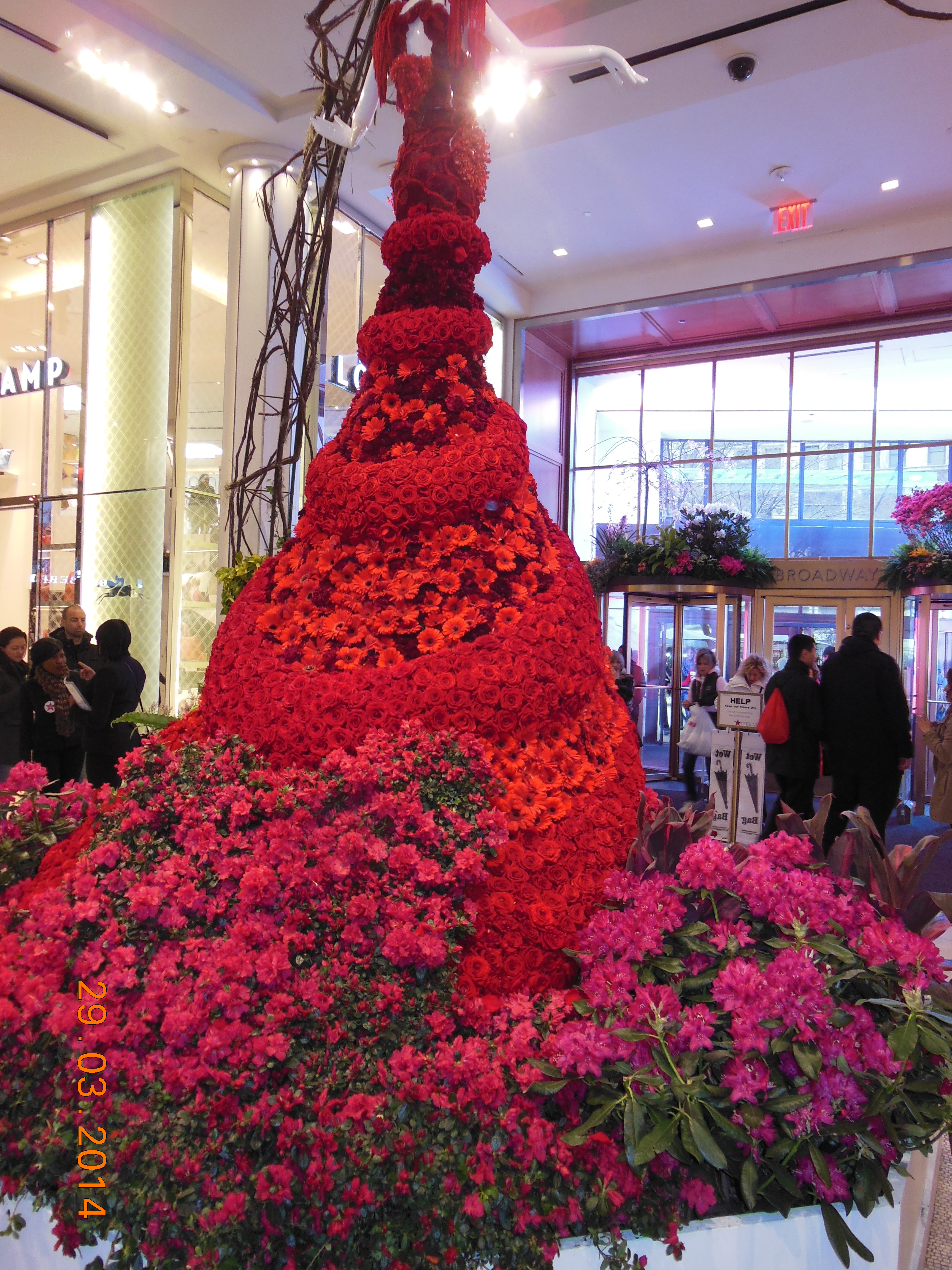 New york mars 2014 010